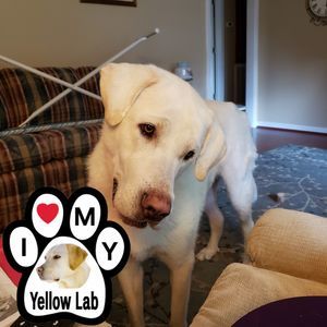 Meet your Posher, Wanda